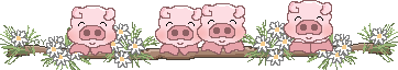 Pig Line